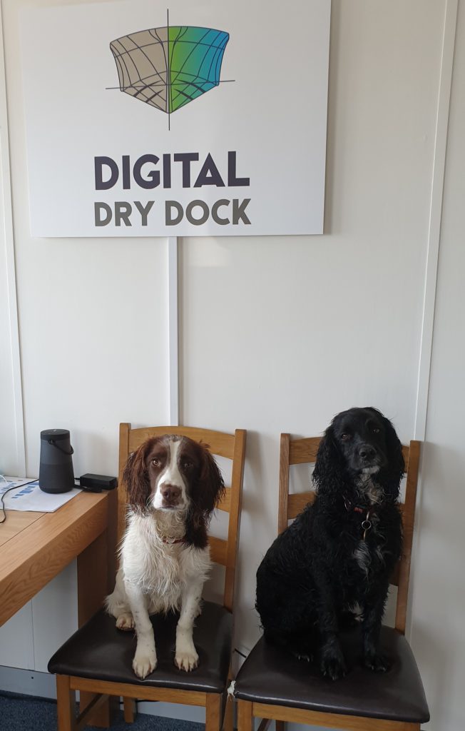 Office Dogs